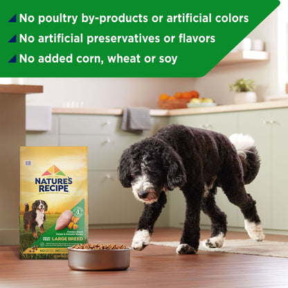 Nature’s Recipe Large Breed Grain Free Chicken, Sweet Potato & Pumpkin Recipe, Dry Dog Food, 24 lb.